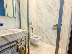 Nassim Park Residences (D10), Condominium #548864061
